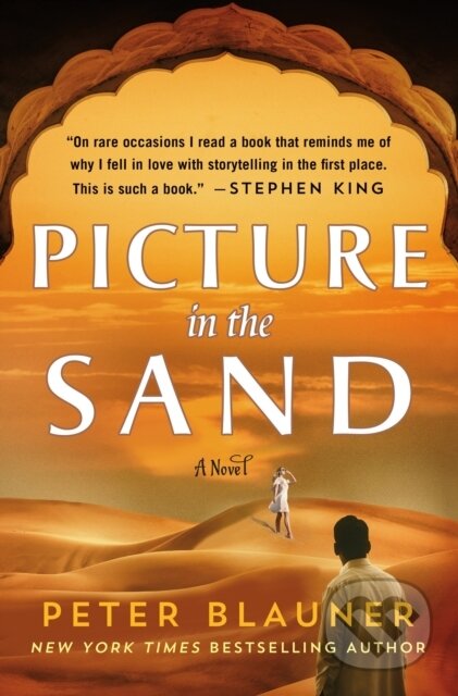 Kniha Picture in the Sand