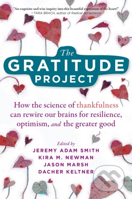 Kniha Gratitude Project