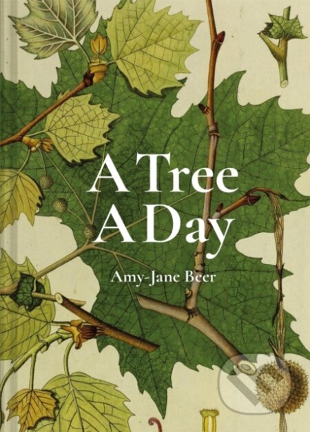 Kniha: A Tree A Day (Amy-Jane Beer)