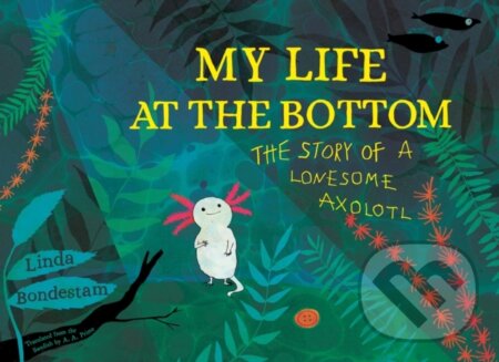 Kniha: My Life at the Bottom (Linda Bondestam)