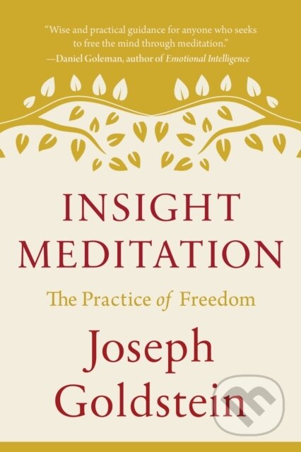 Kniha: Insight Meditation (Joseph Goldstein)