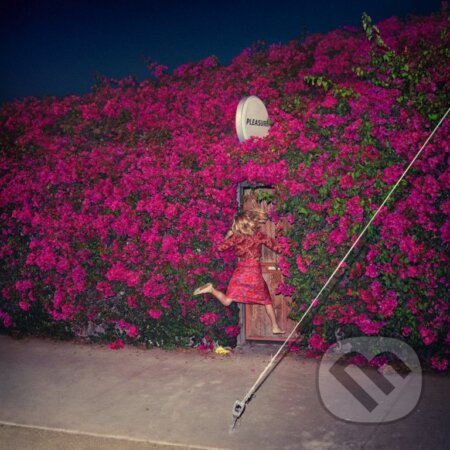 Feist: Pleasure LP