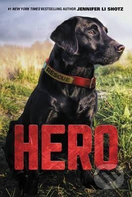 Kniha: Hero (Li Jennifer Shotz). HarperCollins, 2016