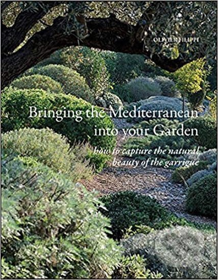 Kniha: Bringing the Mediterranean Int (Olivier Filippi)