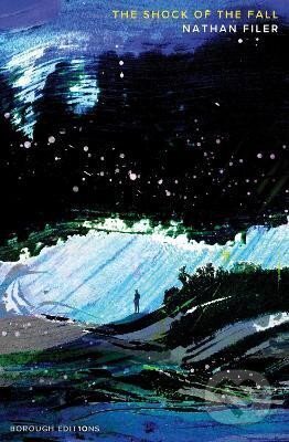 The Shock of the Fall - Nathan Filer