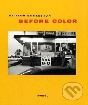 Kniha: Before Color (Chris Burnside). Slovart