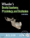 Kniha: Wheelers Dental Anatomy, Physiology and Occlusion, 9/E (NELSON⁄ASH). Saunders, 2009