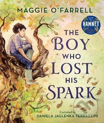 The Boy Who Lost His Spark - Maggie O’Farrellová