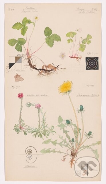 Kniha Hilma af Klint