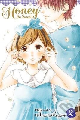 Kniha: Honey So Sweet, Vol. 2 (Amu Meguro)