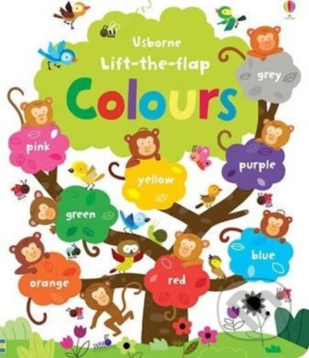 Kniha: Lift the Flap Colours Book (Felicity Brooks)