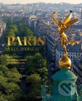 Kniha: Paris a vol d´oiseau (David Foenkinos)