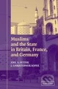Kniha: Muslims and the State in Britain, France, and Germany (Joel S. Fetzer). Cambridge University Press, 2005