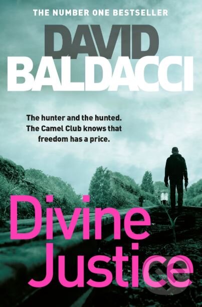 Divine Justice - David Baldacci, Pan Macmillan, 2018