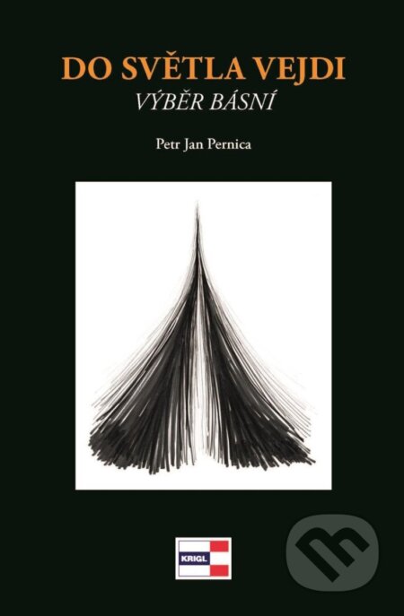 Kniha: Do světla vejdi (Jan Petr Pernica)