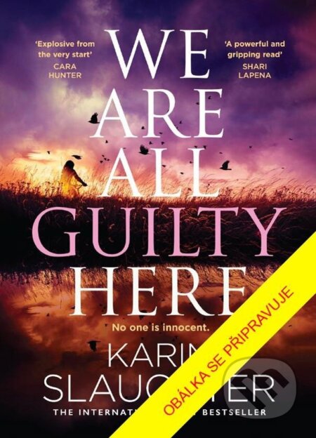 Kniha: Všichni jsme zde vinni (Karin Slaughter)