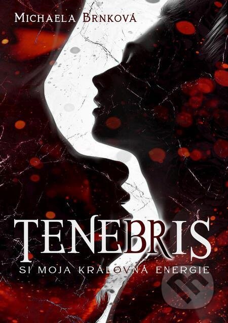 Audiokniha: Tenebris (nahovorené neurálnym hlasom) (Michaela Brnková)