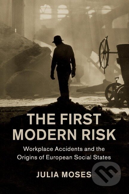 Kniha: The First Modern Risk (Julia Moses)