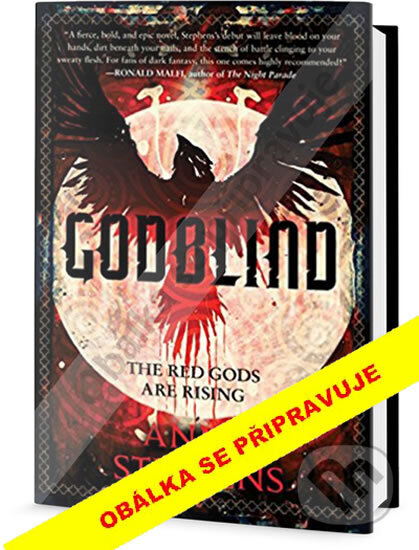 Kniha: Godblind (Anna Stephens)