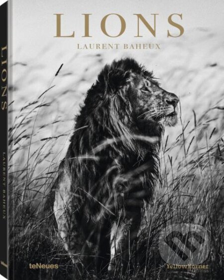Kniha: Laurent Baheux: Lions (Laurent Baheux). Te Neues, 2019