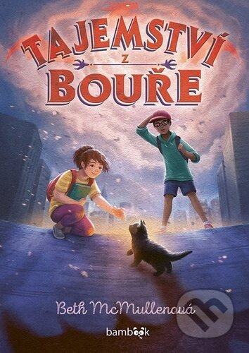 Kniha: Tajemství z bouře (Beth Mcmullen)