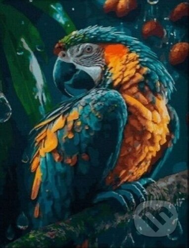 Malování Diamanty Papoušek 30x40 cm