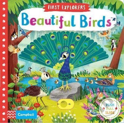 Kniha: Beautiful Birds (Chorkung)