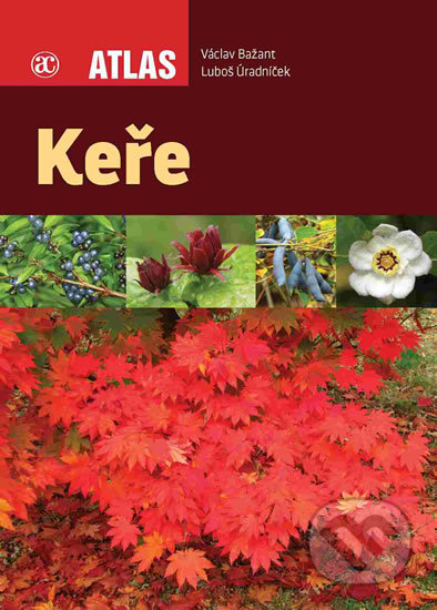 Keře - Václav Bažant - kniha z kategorie Dům, byt a zahrada
