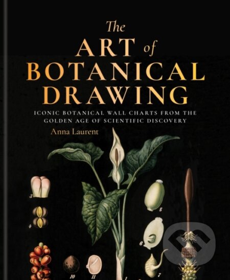 Kniha: The Art of Botanical Drawing (Anna Laurent)