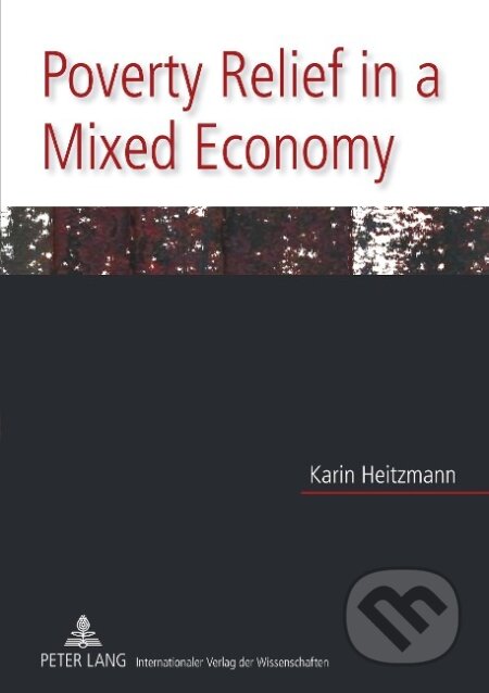 Kniha: Poverty Relief in a Mixed Economy (Karin Heitzmann). Peter Lang, 2010