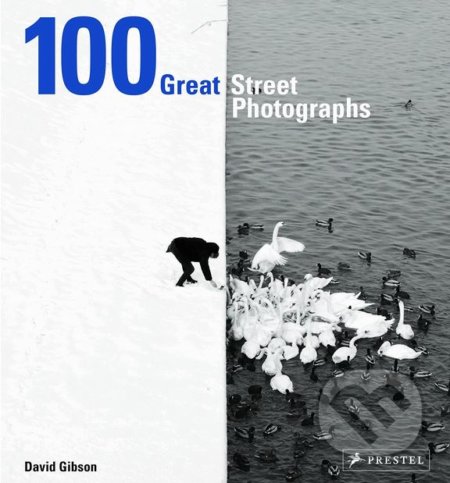 100 Great Street Photographs - David Gibson - kniha z kategorie Fotografie