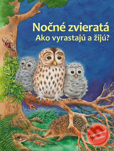 Kniha: Nočné zvieratá (Friederun Reichenstetter)