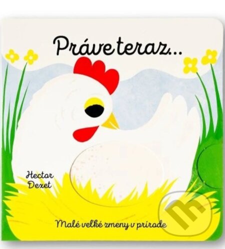 Kniha: Práve teraz… (Hector Dexet)