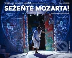 Sežeňte Mozarta! - Jiří Kottas, Nakladatelství Studio Y, 2015
