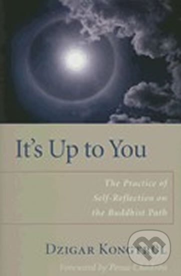 Kniha: It´s Up to You (Kongtrul Dziga)