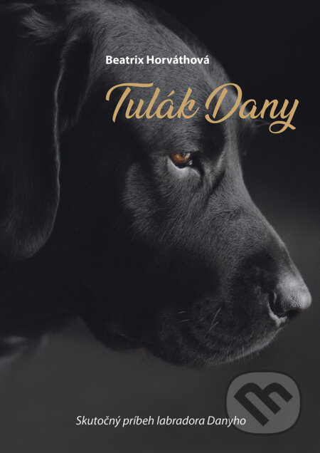 Audiokniha: Tulák Dany (nahovorené neurálnym hlasom) (Beatrix Horváthová)