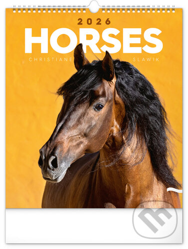 NOTIQUE Nástěnný kalendář Horses (Koně) 2026 (Notique)