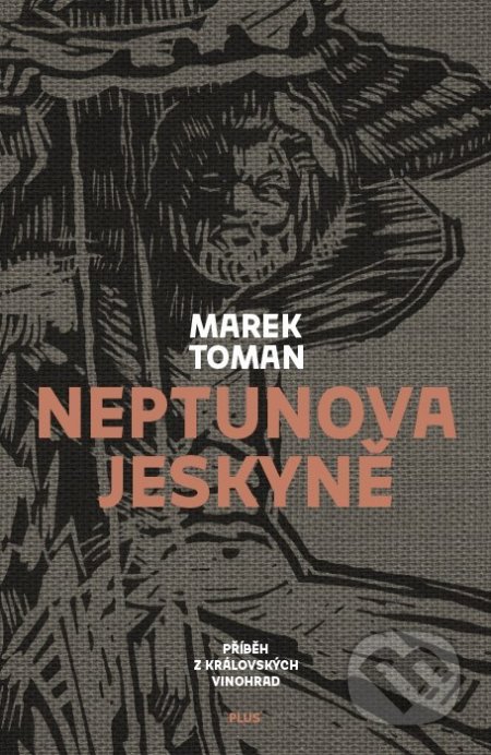 Neptunova jeskyně - Marek Toman, Martin Salajka (ilustrácie), Plus, 2018