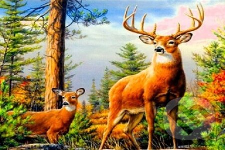 Diamantové malování Jelen v horách