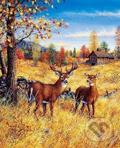 Diamantové malování Jeleni na poli