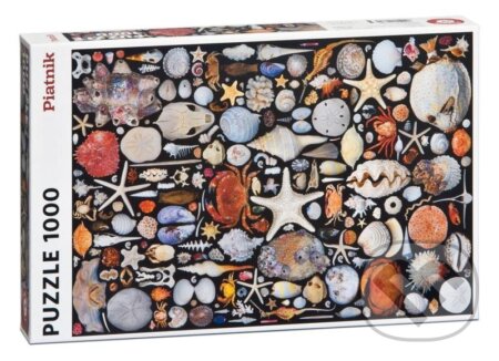PIATNIK Z pláže 1000 dílků