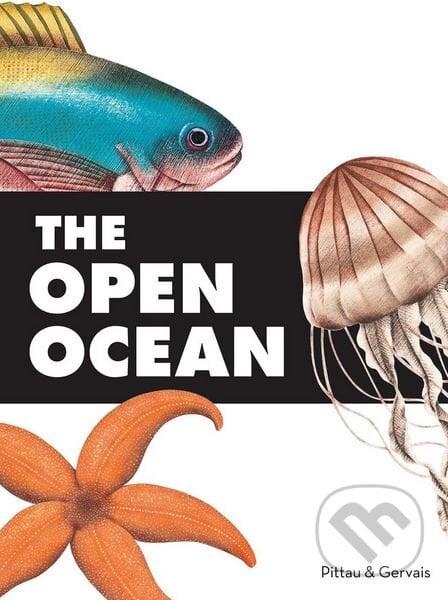 The Open Ocean - Francesco Pittau, Bernadette Gervais, Chronicle Books, 2014
