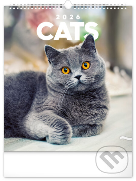 NOTIQUE Nástenný kalendár Cats 2026