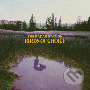 Radar Station: Birds Of Choice LP - Radar Station