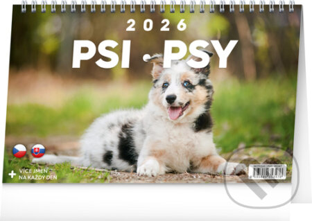 NOTIQUE Stolní kalendář / stolový kalendár Psi – Psy 2026 (Notique)