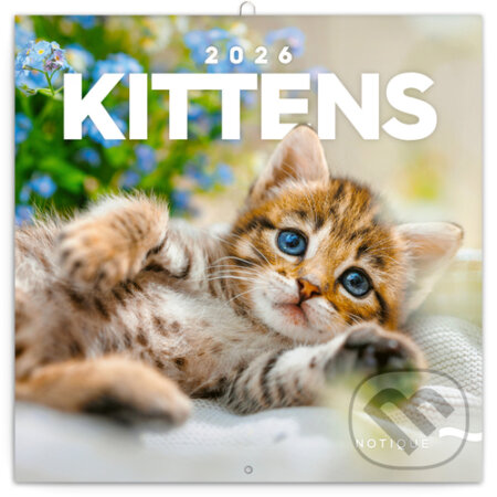NOTIQUE Nástenný poznámkový kalendár Kittens (Mačiatka) 2026 (Notique)