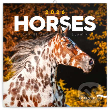 NOTIQUE Nástenný poznámkový kalendár Horses (Kone) 2026 (Notique)
