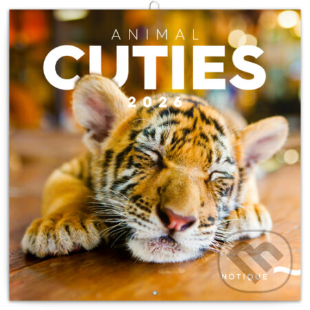 NOTIQUE Nástenný poznámkový kalendár Animal cuties (Mláďatá) 2026 (Notique)