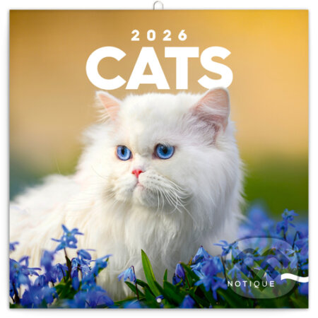 NOTIQUE Nástenný poznámkový kalendár Cats (Mačky) 2026 (Notique)