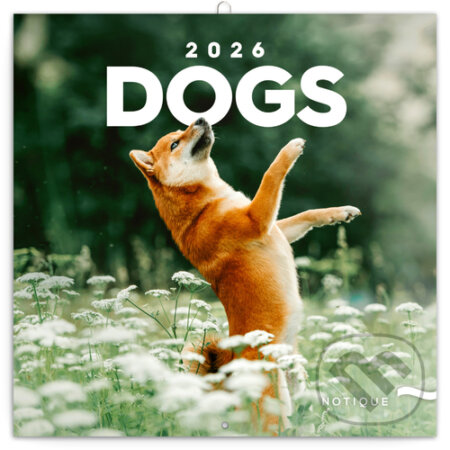 NOTIQUE Nástenný poznámkový kalendár Dogs (Psy) 2026 (Notique)